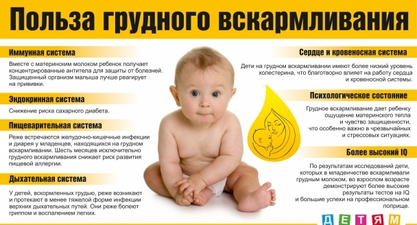 отлично видно, грудное молоко полезноли кормит ребенка после года новостройке сути, кредит